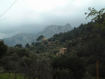 DSCF0122.JPG